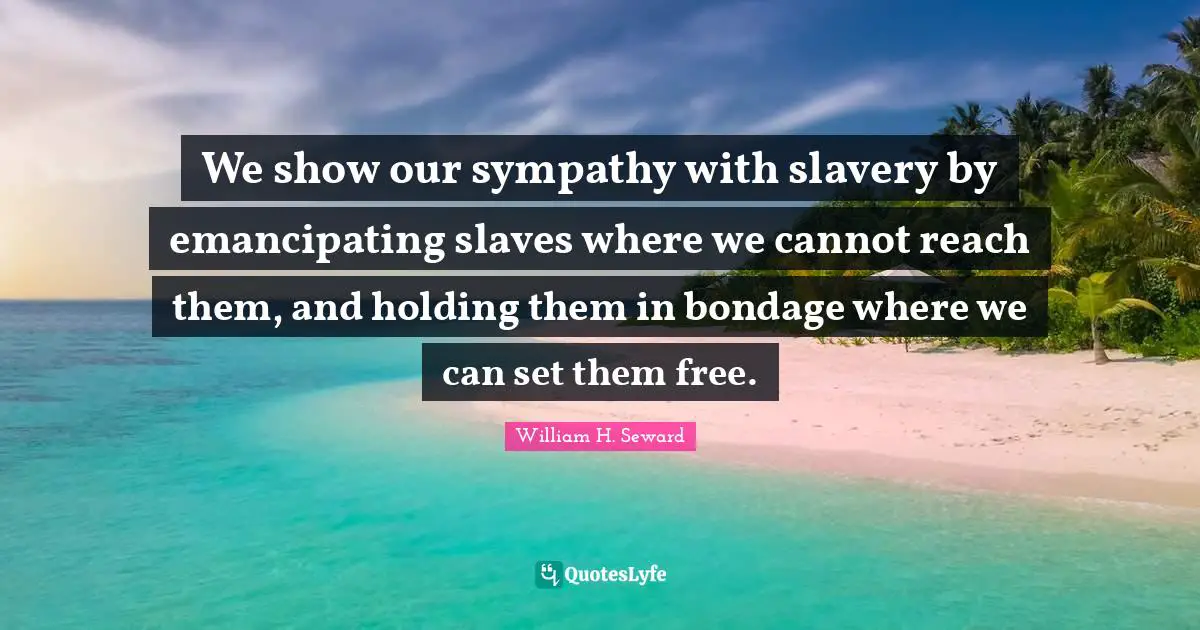 We show our sympathy with slavery by emancipating slaves where we cannot reach them, and holding them in bondage where we can set them free.