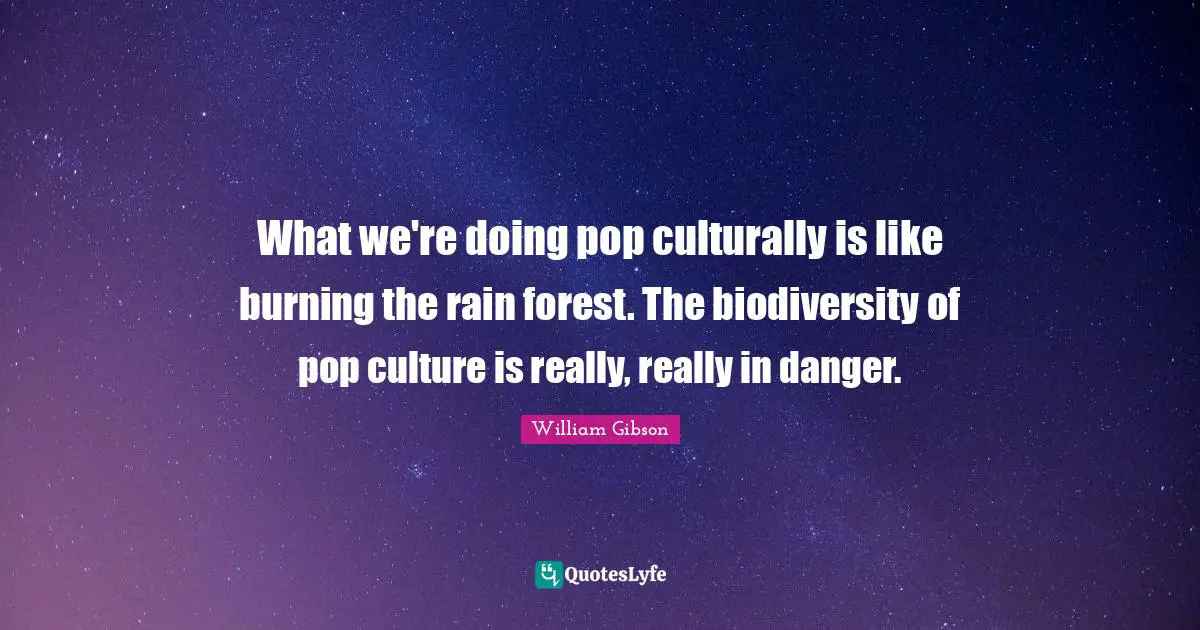What we're doing pop culturally is like burning the rain forest. The biodiversity of pop culture is really, really in danger.