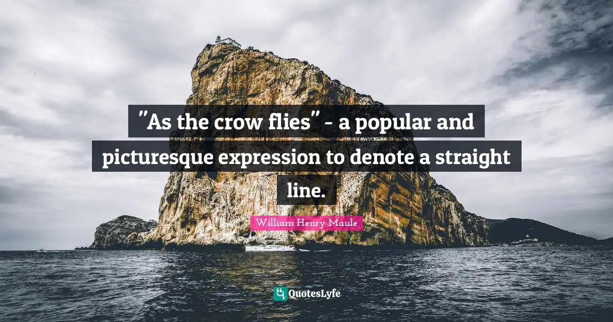 "As the crow flies" - a popular and picturesque expression to denote a straight line.