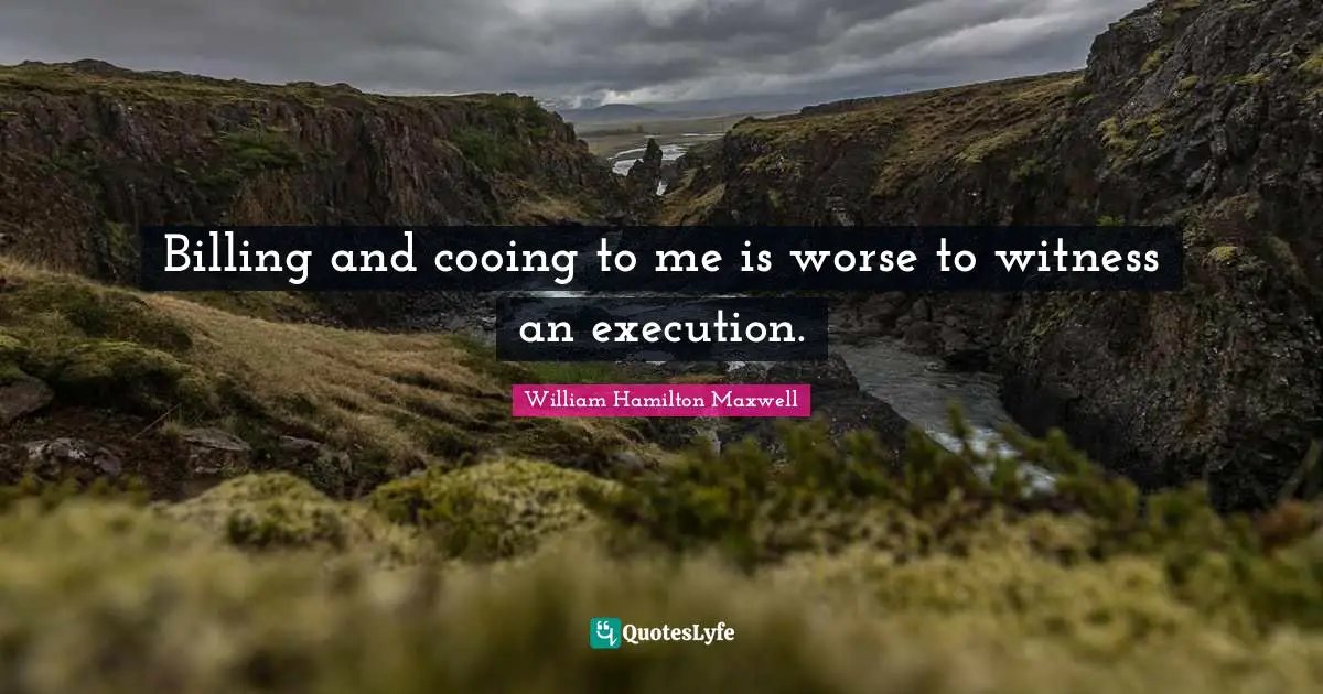 Execution Quotes: "Billing and cooing to me is worse to witness an execution."