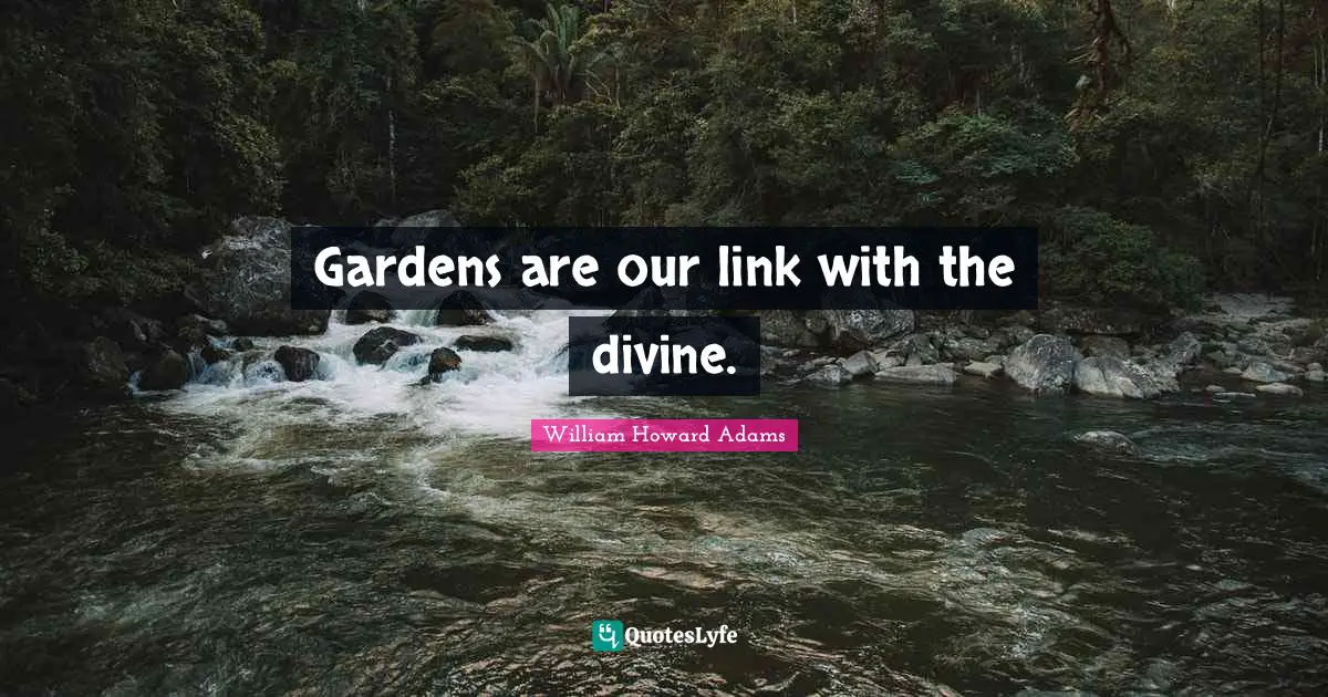 Gardens are our link with the divine.