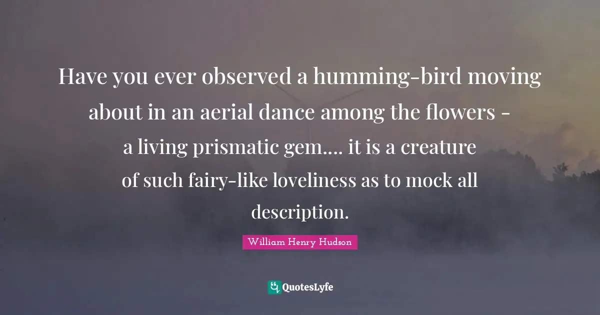 Have you ever observed a humming-bird moving about in an aerial dance among the flowers - a living prismatic gem.... it is a creature of such fairy-like loveliness as to mock all description.