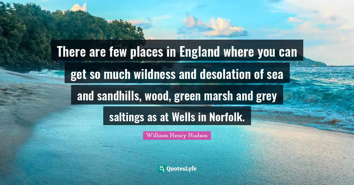 There are few places in England where you can get so much wildness and desolation of sea and sandhills, wood, green marsh and grey saltings as at Wells in Norfolk.