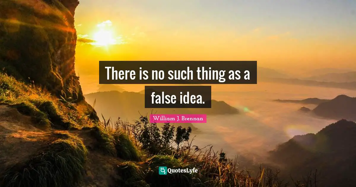 There is no such thing as a false idea.