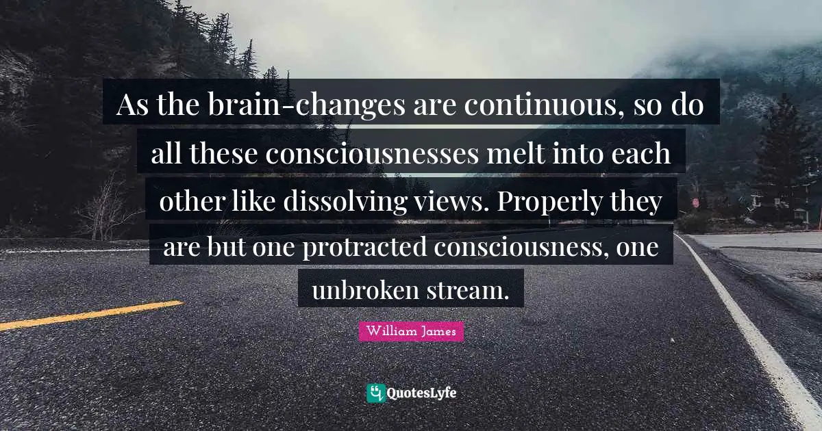 As the brain-changes are continuous, so do all these consciousnesses melt into each other like dissolving views. Properly they are but one protracted consciousness, one unbroken stream.