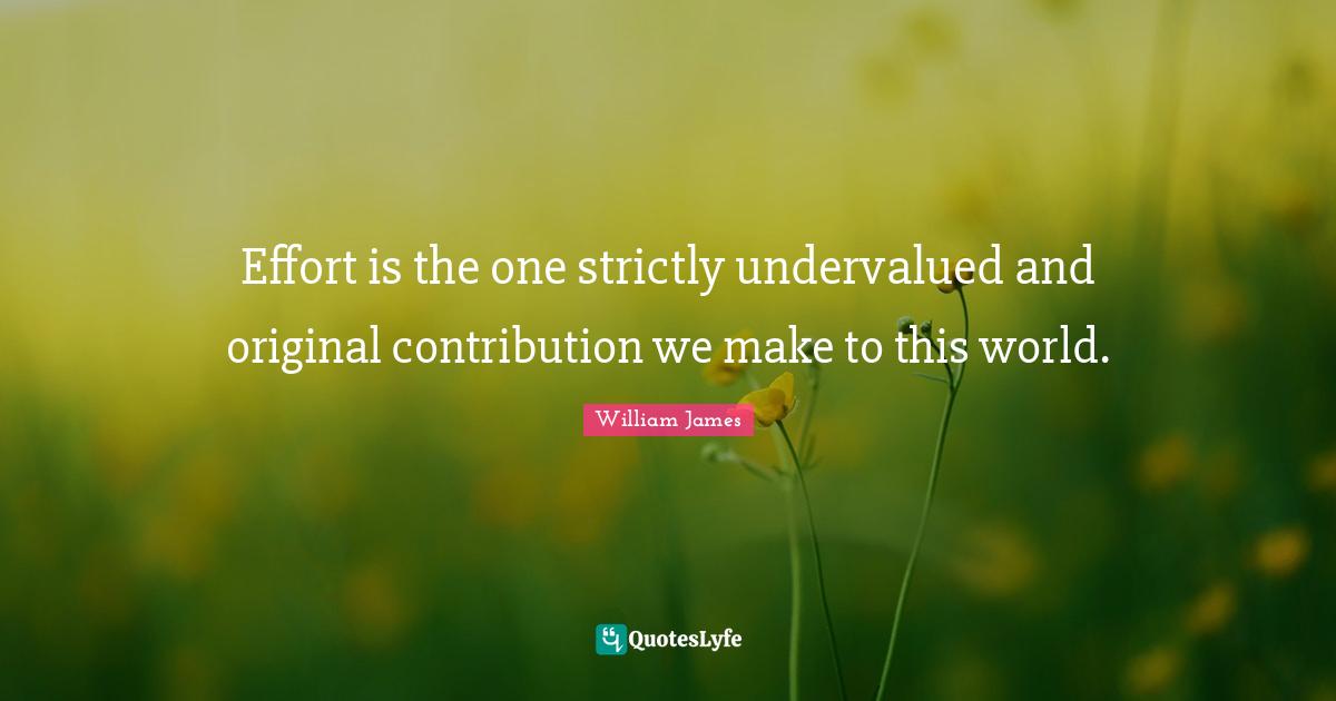 Effort is the one strictly undervalued and original contribution we make to this world.