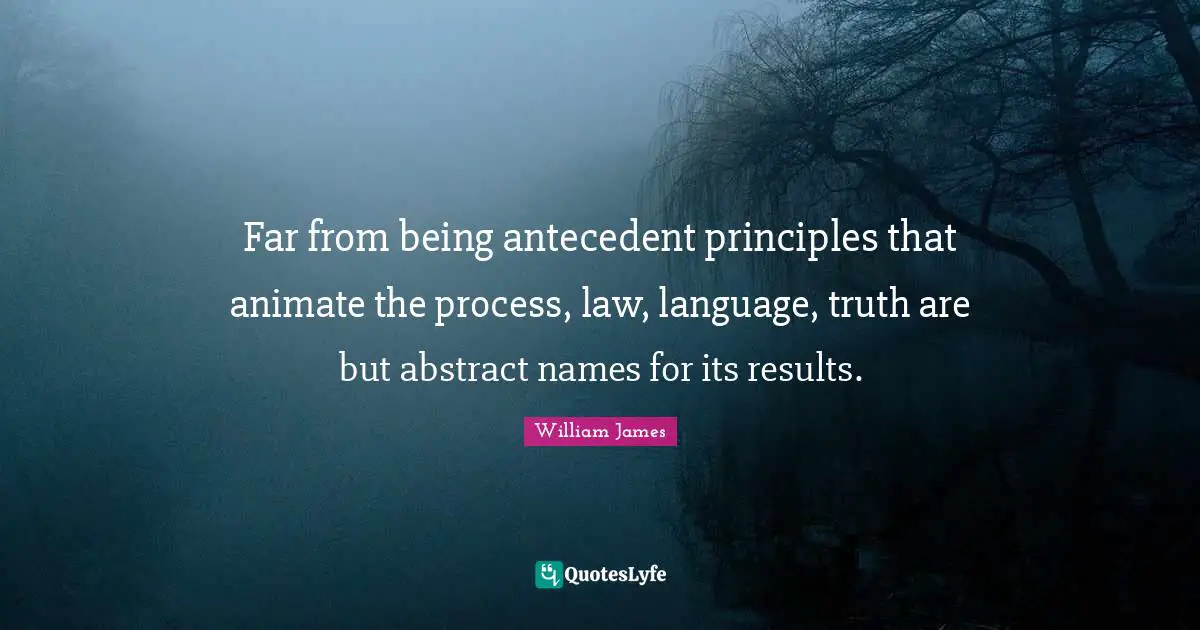 Far from being antecedent principles that animate the process, law, language, truth are but abstract names for its results.