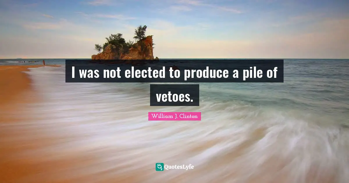 I was not elected to produce a pile of vetoes.