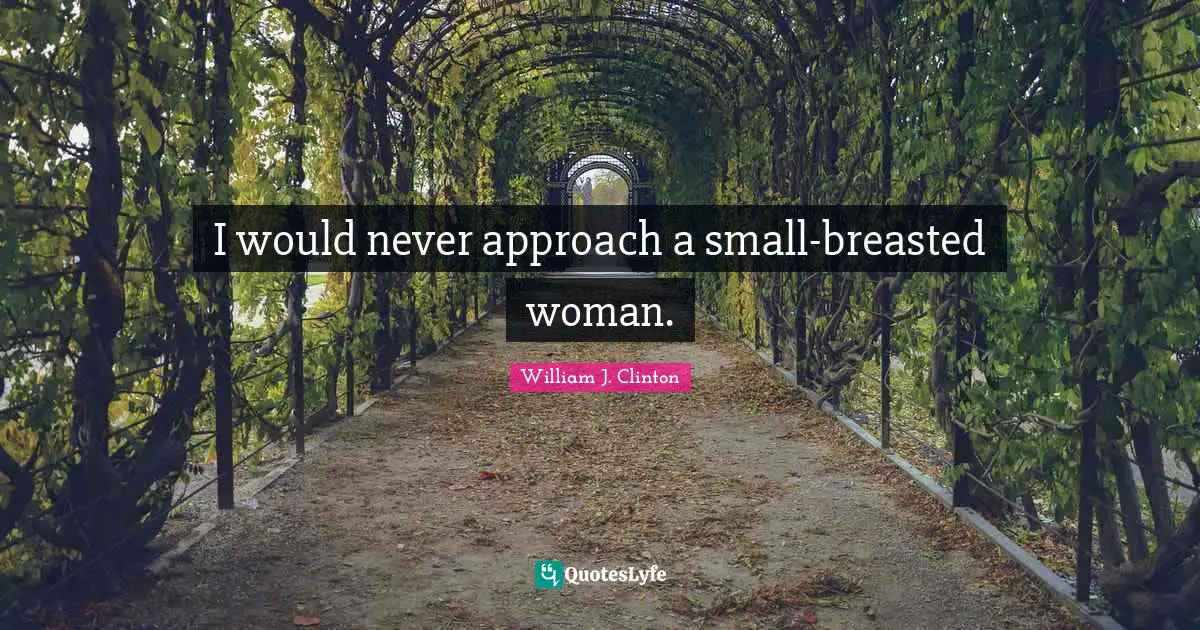 I would never approach a small-breasted woman.