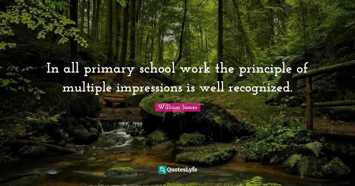 In all primary school work the principle of multiple impressions is well recognized.
