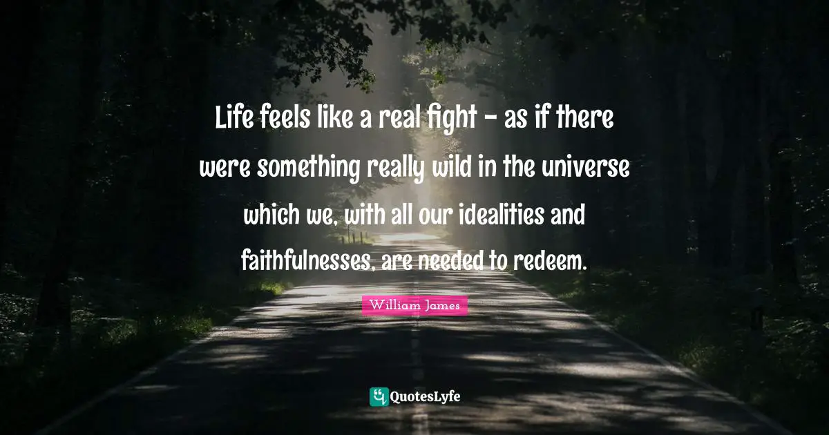 Life feels like a real fight - as if there were something really wild in the universe which we, with all our idealities and faithfulnesses, are needed to redeem.