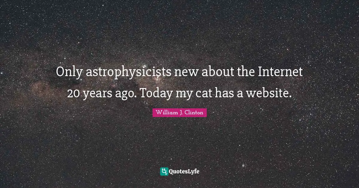Only astrophysicists new about the Internet 20 years ago. Today my cat has a website.