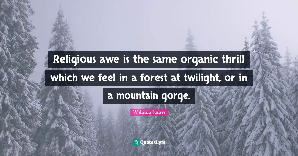 Religious awe is the same organic thrill which we feel in a forest at twilight, or in a mountain gorge.