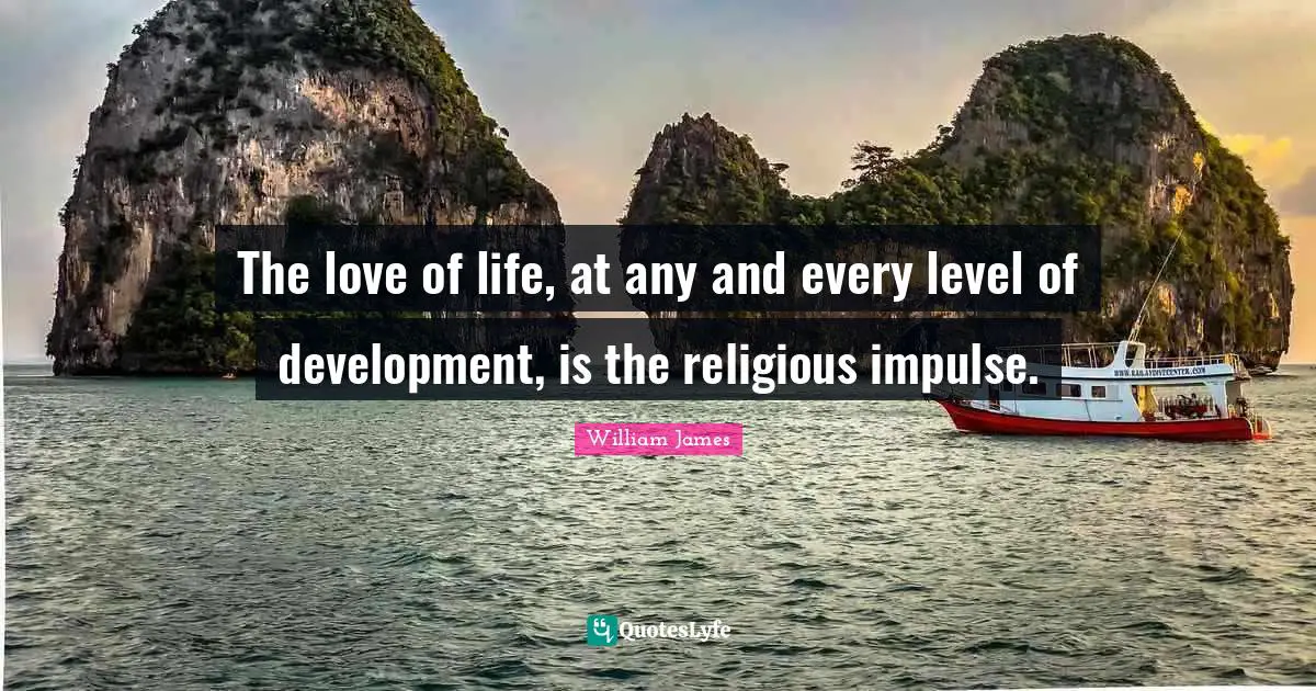 The love of life, at any and every level of development, is the religious impulse.
