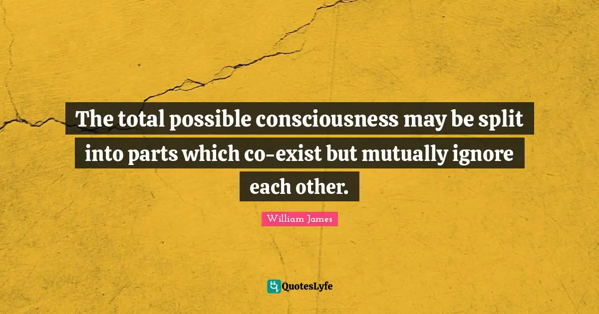 The total possible consciousness may be split into parts which co-exist but mutually ignore each other.
