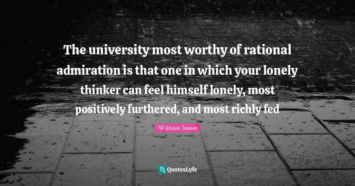 The university most worthy of rational admiration is that one in which your lonely thinker can feel himself lonely, most positively furthered, and most richly fed