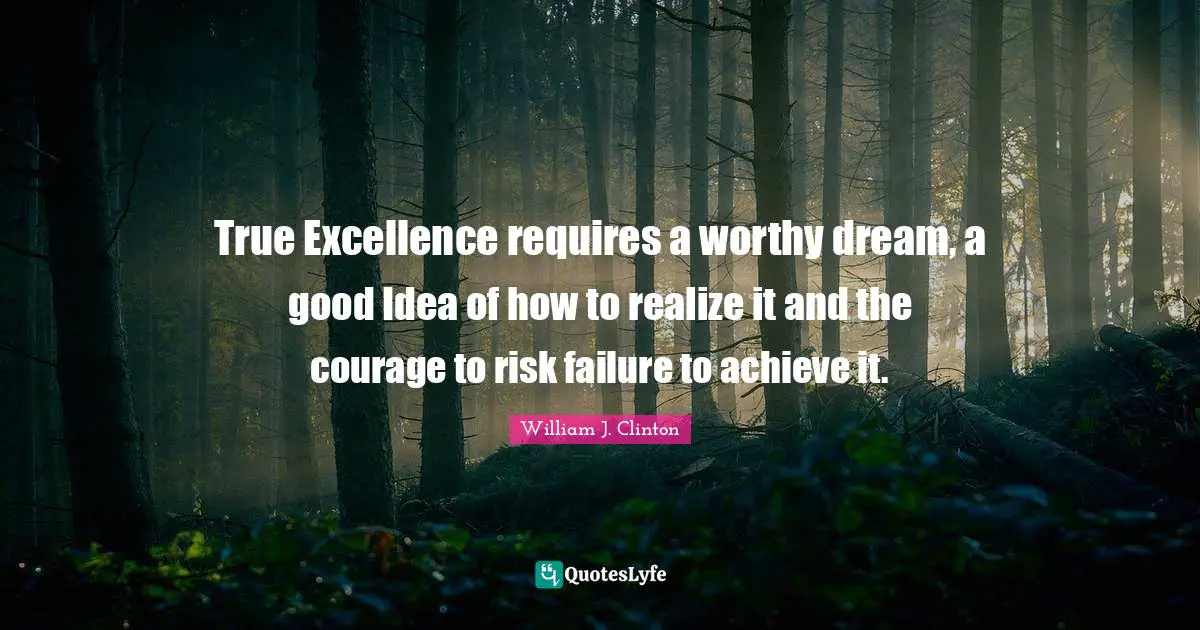 True Excellence requires a worthy dream, a good Idea of how to realize it and the courage to risk failure to achieve it.