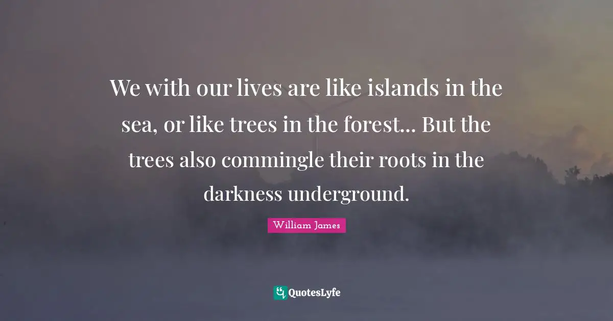 We with our lives are like islands in the sea, or like trees in the forest... But the trees also commingle their roots in the darkness underground.