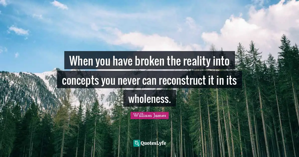 When you have broken the reality into concepts you never can reconstruct it in its wholeness.