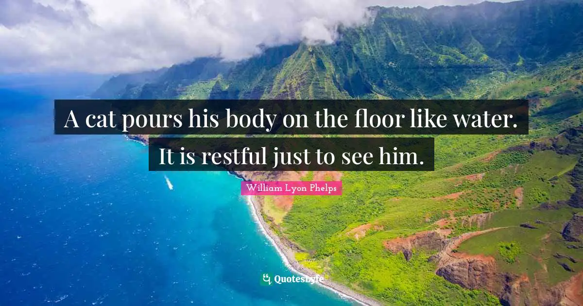 William Lyon Phelps Quotes: "A cat pours his body on the floor like water. It is restful just to see him."
