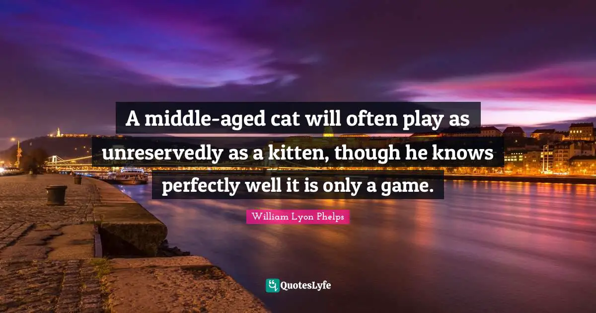 William Lyon Phelps Quotes: "A middle-aged cat will often play as unreservedly as a kitten, though he knows perfectly well it is only a game."