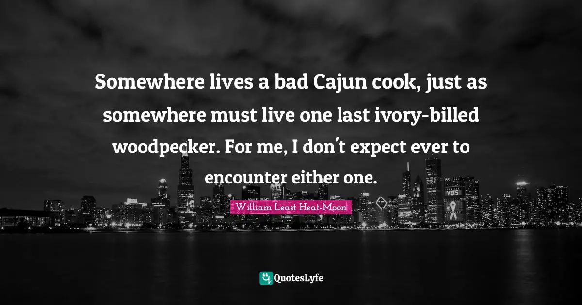 Encounters Quotes: "Somewhere lives a bad Cajun cook, just as somewhere must live one last ivory-billed woodpecker. For me, I don't expect ever to encounter either one."