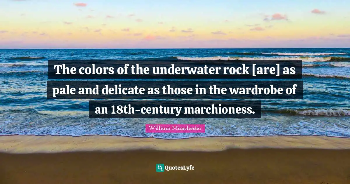 The colors of the underwater rock [are] as pale and delicate as those in the wardrobe of an 18th-century marchioness.