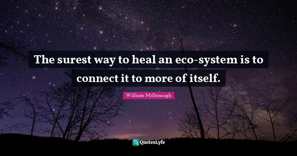 The surest way to heal an eco-system is to connect it to more of itself.
