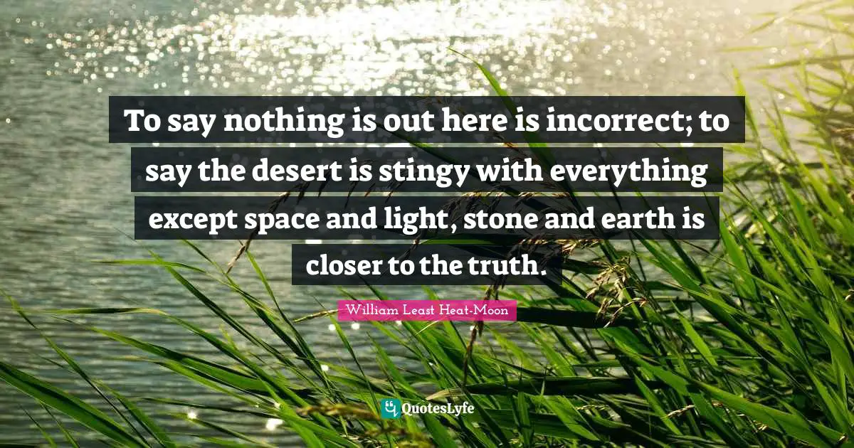 To say nothing is out here is incorrect; to say the desert is stingy with everything except space and light, stone and earth is closer to the truth.