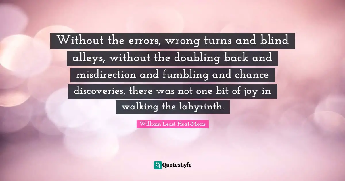 Without the errors, wrong turns and blind alleys, without the doubling back and misdirection and fumbling and chance discoveries, there was not one bit of joy in walking the labyrinth.