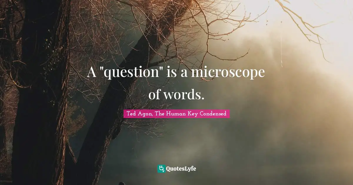 A "question" is a microscope of words.