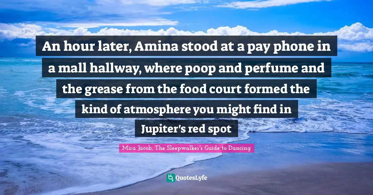 An hour later, Amina stood at a pay phone in a mall hallway, where poop and perfume and the grease from the food court formed the kind of atmosphere you might find in Jupiter's red spot