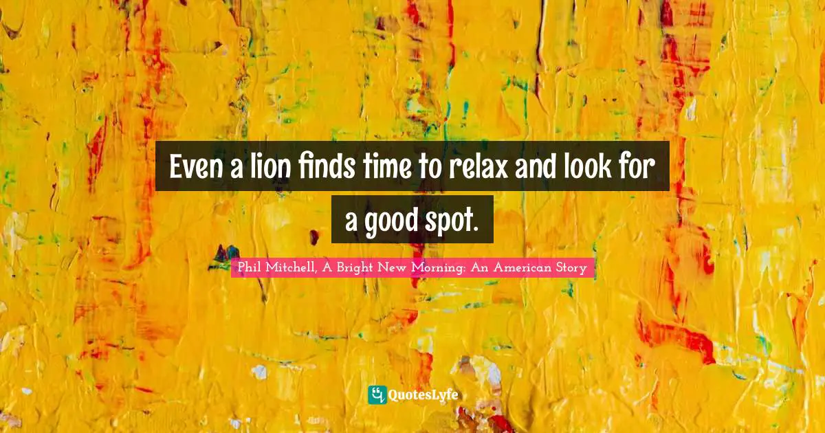 Even a lion finds time to relax and look for a good spot.