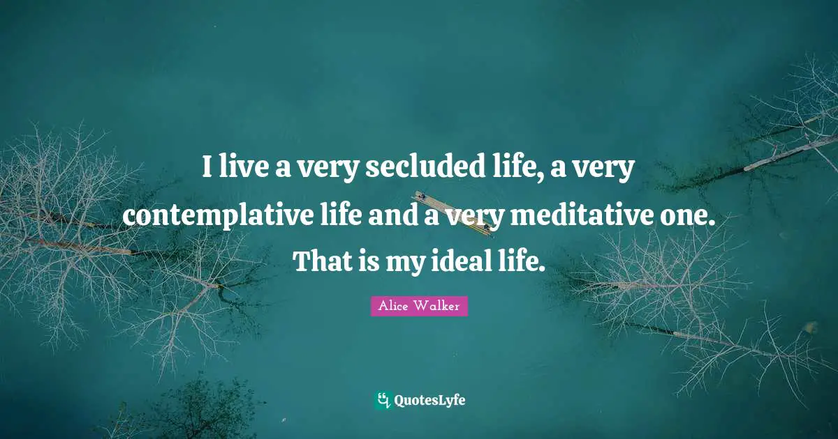 I live a very secluded life, a very contemplative life and a very meditative one. That is my ideal life.