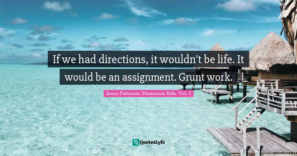 If we had directions, it wouldn't be life. It would be an assignment. Grunt work.
