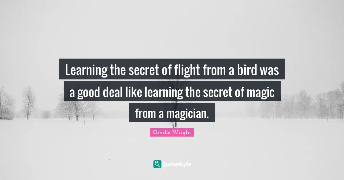 Learning the secret of flight from a bird was a good deal like learning the secret of magic from a magician.