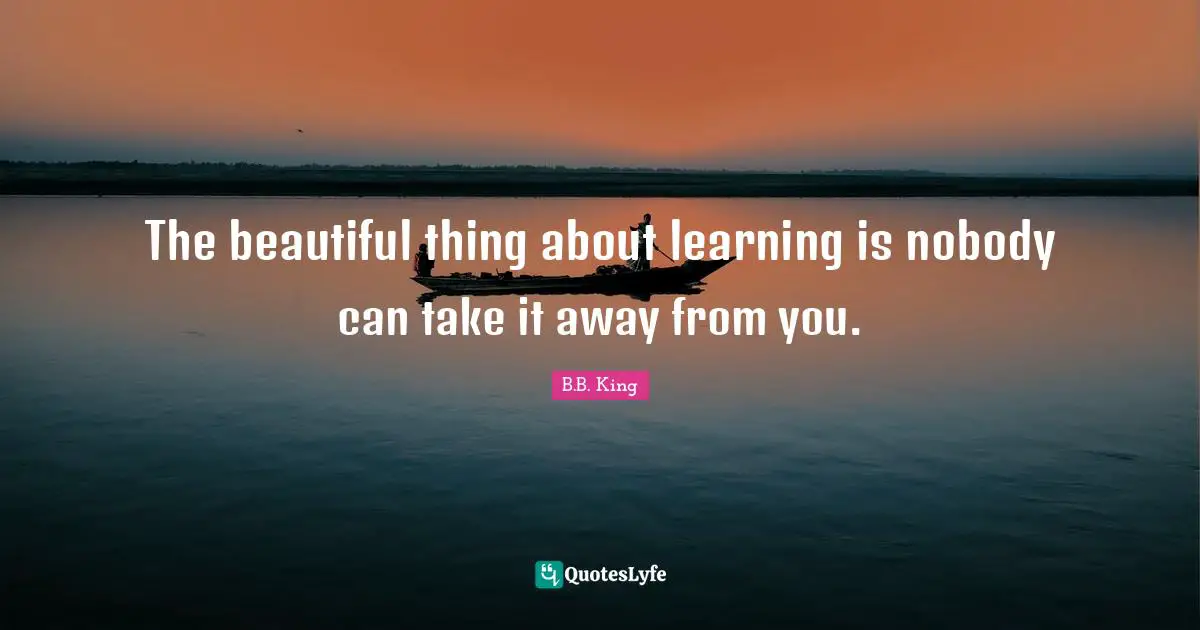 The beautiful thing about learning is nobody can take it away from you.
