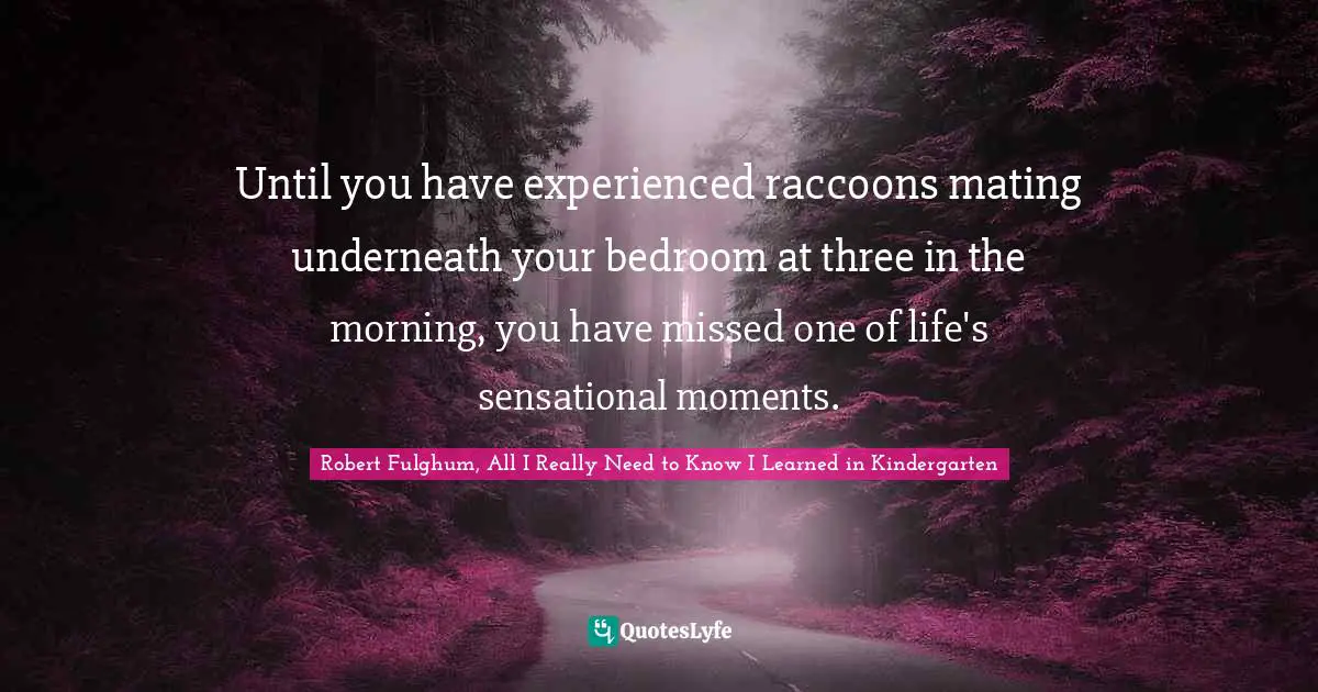 Until you have experienced raccoons mating underneath your bedroom at three in the morning, you have missed one of life's sensational moments.