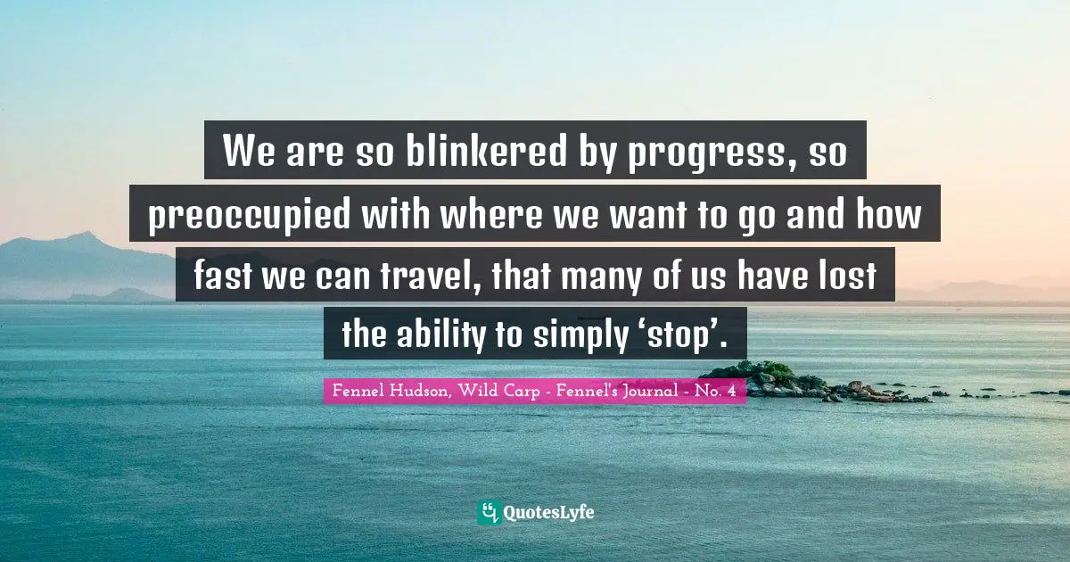 We are so blinkered by progress, so preoccupied with where we want to go and how fast we can travel, that many of us have lost the ability to simply ‘stop’.