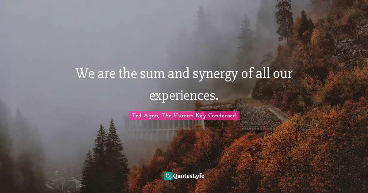 We are the sum and synergy of all our experiences.