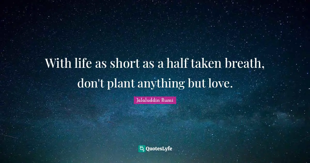 With life as short as a half taken breath, don't plant anything but love.