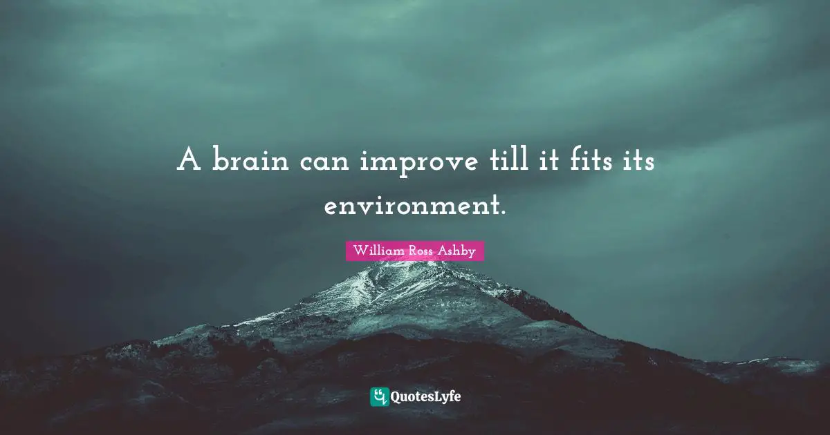 A brain can improve till it fits its environment.