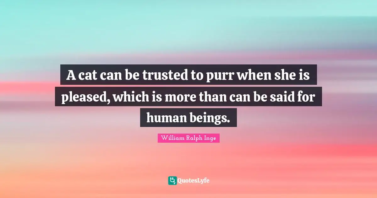 A cat can be trusted to purr when she is pleased, which is more than can be said for human beings.