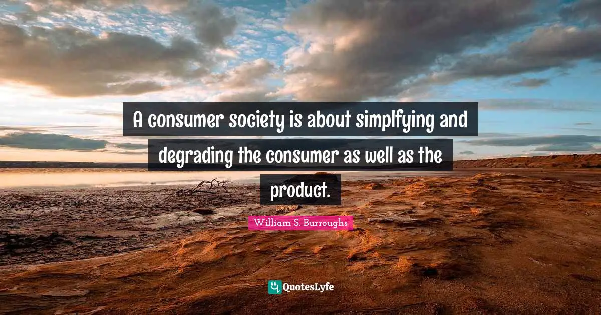 A consumer society is about simplfying and degrading the consumer as well as the product.
