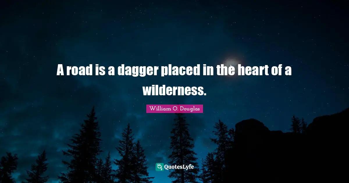 A road is a dagger placed in the heart of a wilderness.