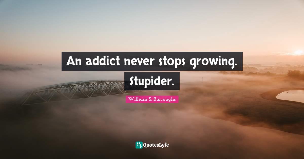 An addict never stops growing. Stupider.
