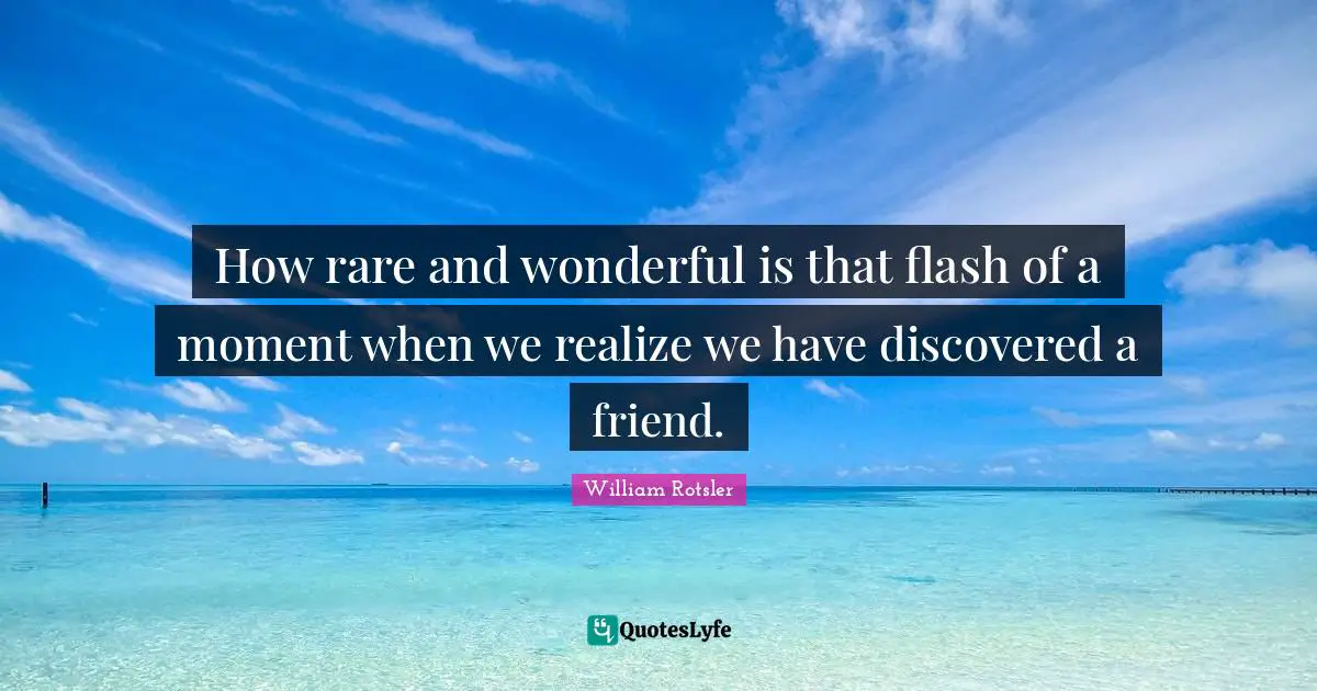 How rare and wonderful is that flash of a moment when we realize we have discovered a friend.