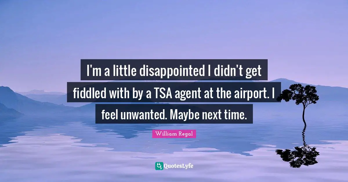 Airports Quotes: "I'm a little disappointed I didn't get fiddled with by a TSA agent at the airport. I feel unwanted. Maybe next time."