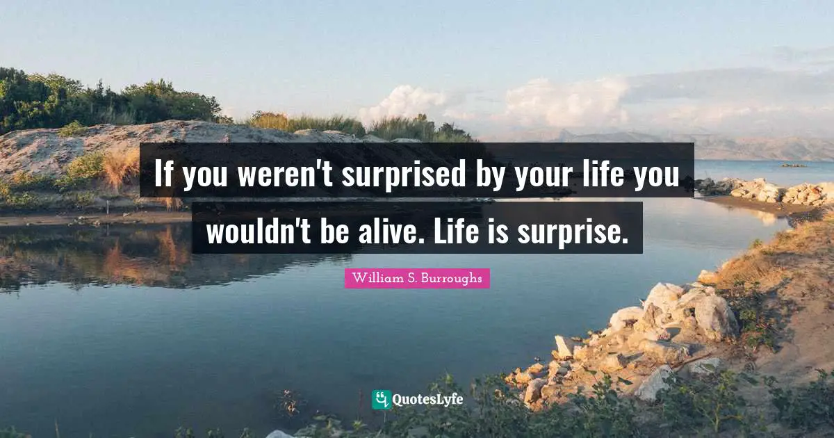 If you weren't surprised by your life you wouldn't be alive. Life is surprise.