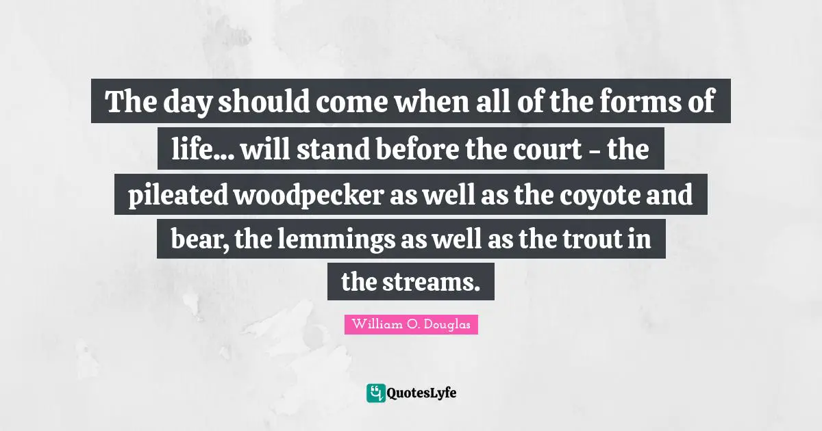 The day should come when all of the forms of life... will stand before the court - the pileated woodpecker as well as the coyote and bear, the lemmings as well as the trout in the streams.